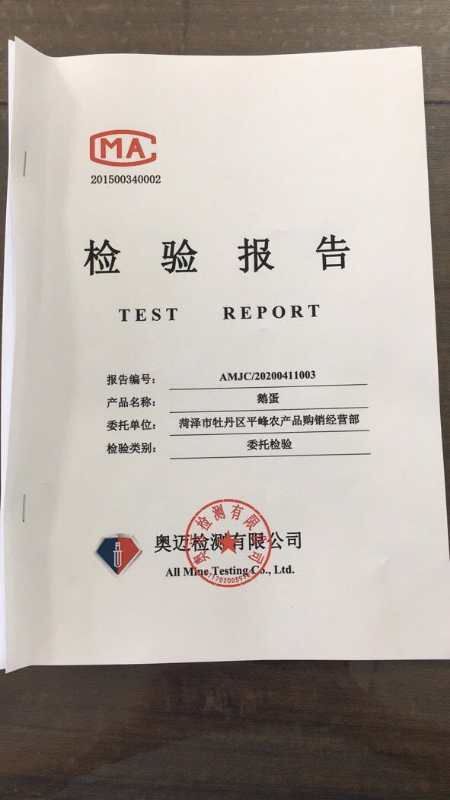 菏泽土鹅蛋  今年的鹅蛋当馍吃