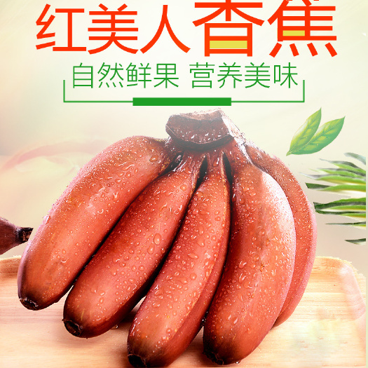 平和县 新鲜红香蕉，现摘现发，不加催熟剂，口感更好，更健康