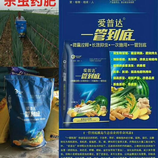 郑州冲施肥 地下杀虫药肥 一管到底