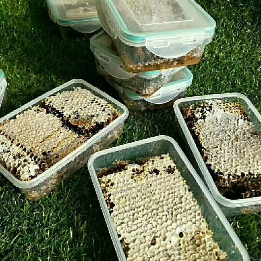 蒙阴县蜂巢蜜  沂蒙山老巢蜜