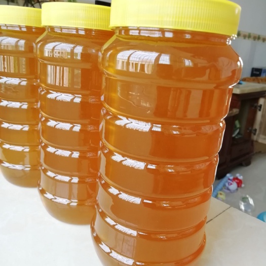 廉江市自产自销天然农农家土蜂蜜荔枝蜜龙眼蜜中蜂蜜原蜜