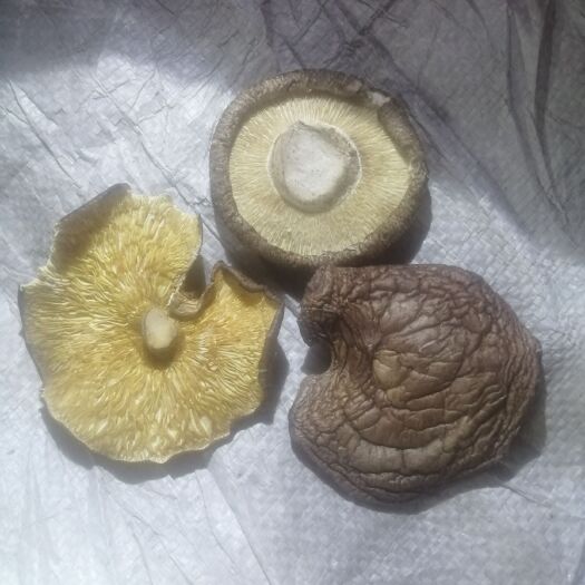 鲁山县 香菇片