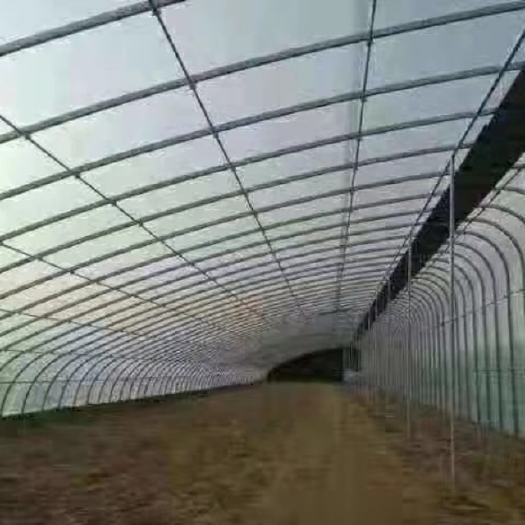 育苗温室大棚 育苗棚