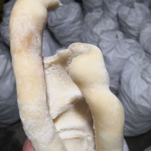 商河县 减退羊皮