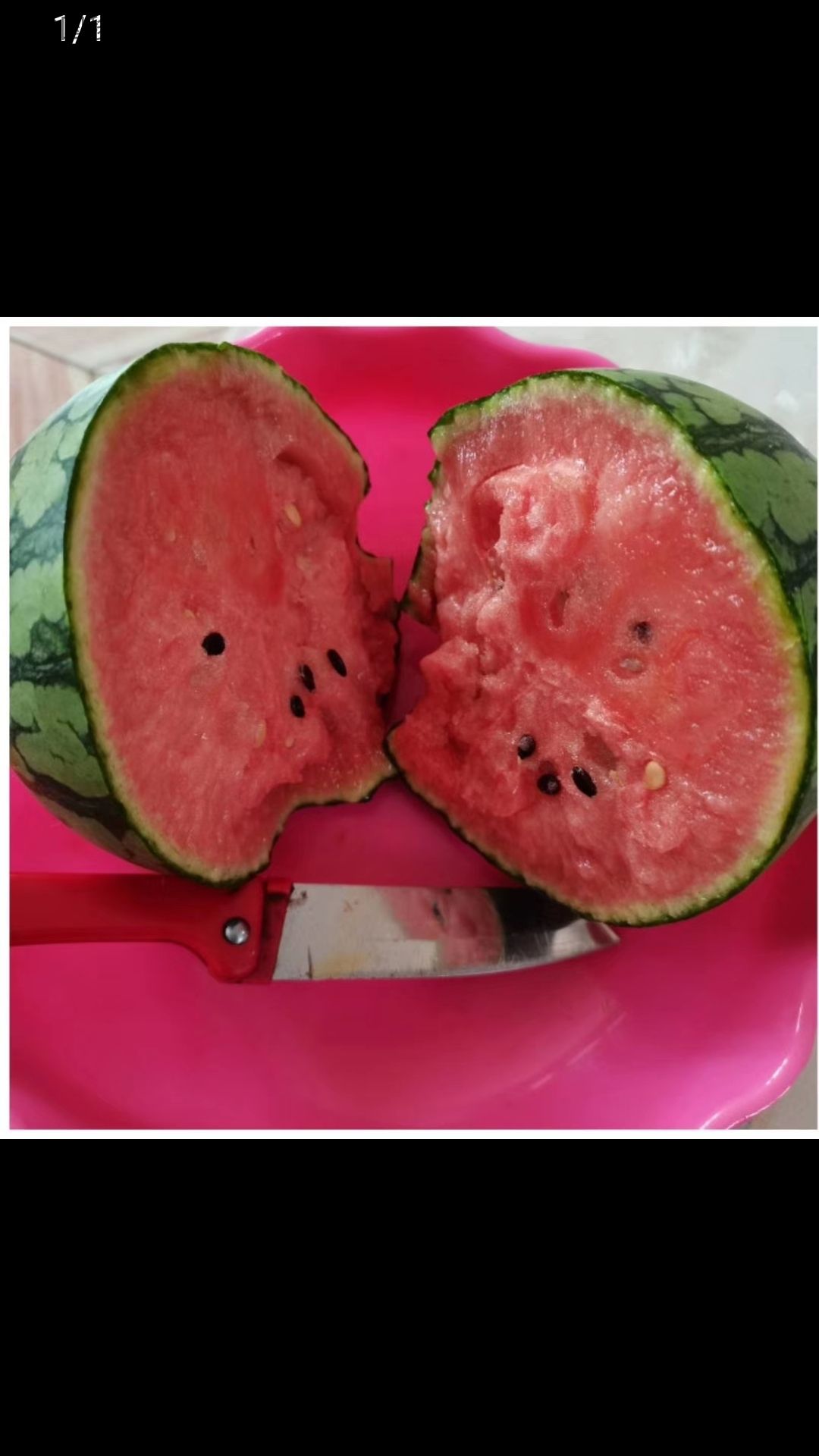 早春红玉西瓜 精品2k现已大量上市