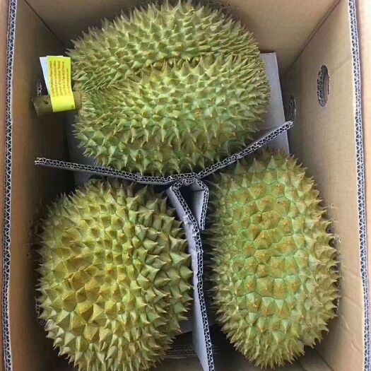 柳州 榴莲直供