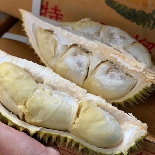 凭祥市 泰国金枕榴莲