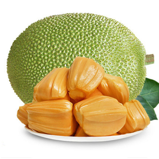 【全身都是宝】海南黄肉菠萝蜜，生僻不售后