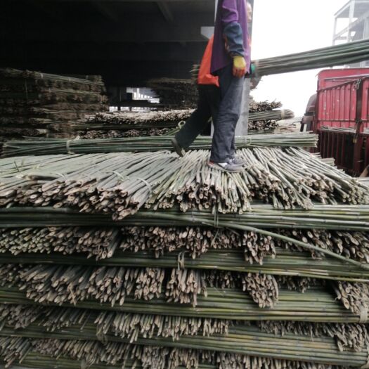 广安毛竹 斑竹，绿色，环保，可用于蔬菜水果大棚，也可用于植树撑杆等等