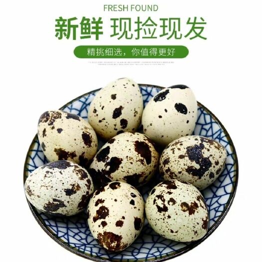 土鹌鹑蛋 200/枚农家杂粮喂养新鲜生蛋新鲜蛋类50