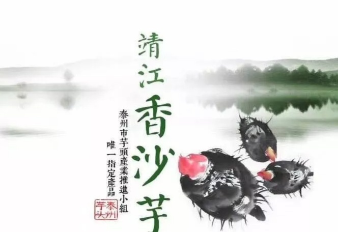 香芋  靖江香沙芋-粟芋