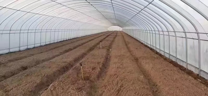 天津镀锌带种植大棚
