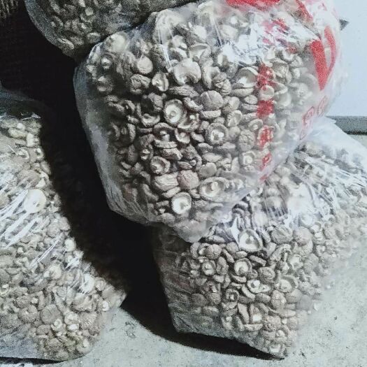 恩施市香菇片  优质富硒干香菇有现货