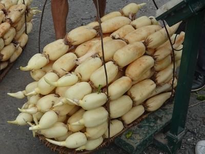 宝应县 扬州宝应莲藕