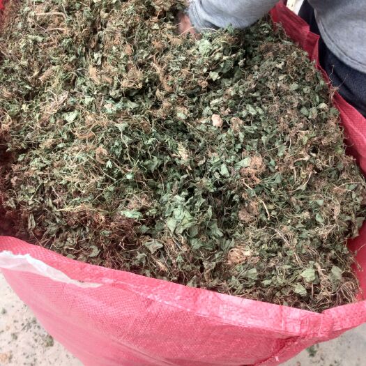 积雪草，雷公根干货8元一斤