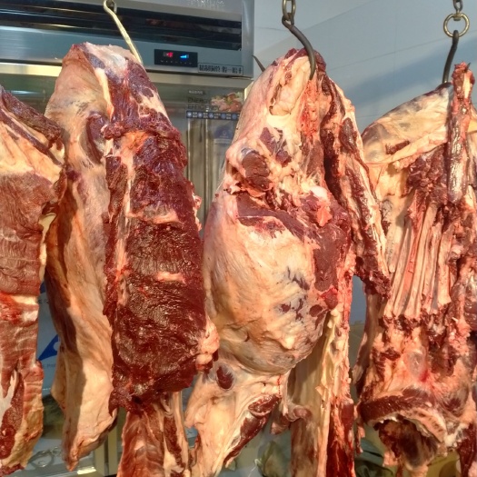 银川 新鲜黄牛肉