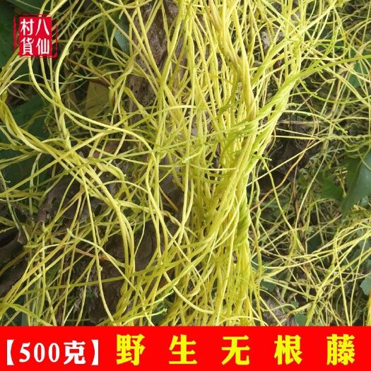 陆丰市 菟丝子藤新鲜黄丝无根藤无娘藤无根草豆寄生藤一斤500克