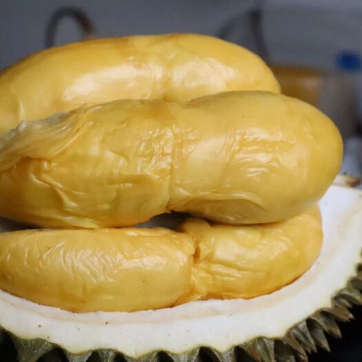 昆明金枕头榴莲 基地供货