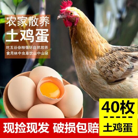 原阳县 土鸡蛋正宗农家散养新鲜草鸡笨鸡蛋柴鸡蛋