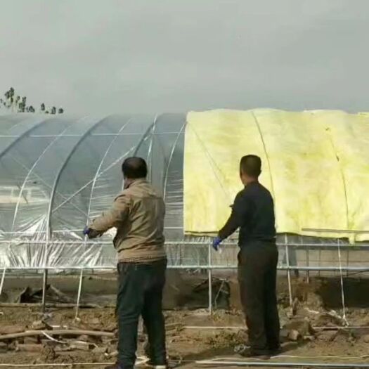 天津钢管大棚 热镀钢管养殖大棚，养鸡大棚，私人订制，根据客户要求