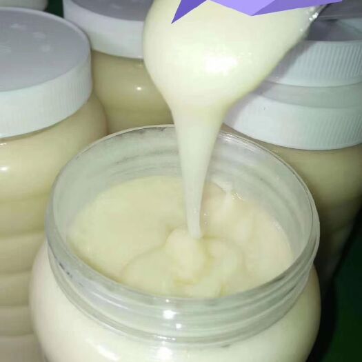 贺州 冬蜜(鸭脚木)