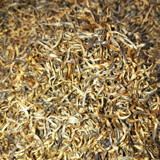 凤庆县 金丝滇红 云南滇红 凤庆红茶 批发
厂家直销