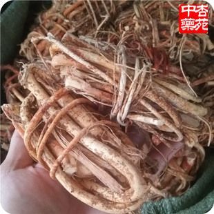灵山县 五指毛桃根