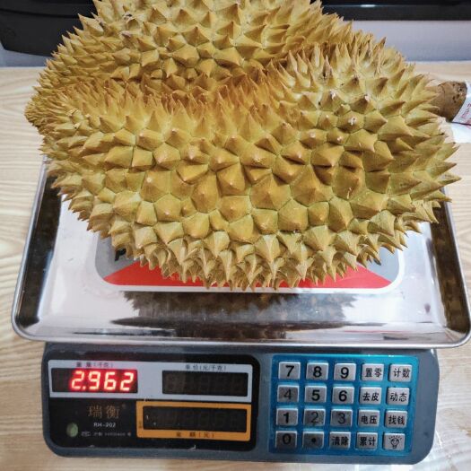 景洪市 这款榴莲可以吃出初恋的感觉哦！
香甜软绵，入口即化