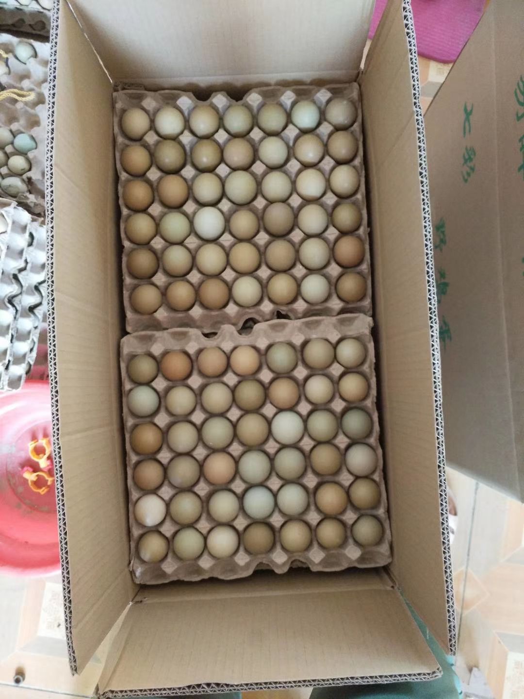 商河县养殖户出售七彩山鸡蛋零售批发，保证新鲜，破损包赔，欢