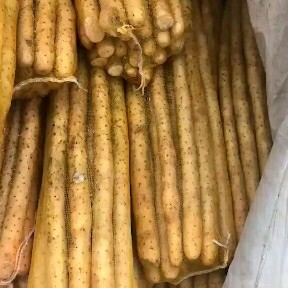 安平县小白嘴白山药 优质小白嘴，产地直销，大量现货