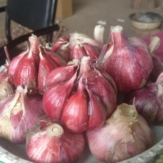 弥渡县 大蒜，百合科植物，为一年生或二年生草本植物，味辛辣，古称葫，