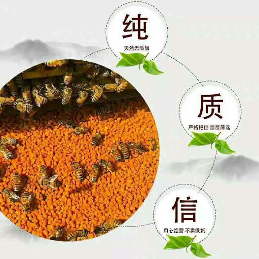 内江 天然蜂花粉（1斤包邮除偏远地区）