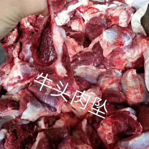 阳信县 牛肉块