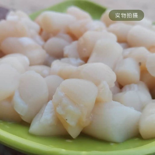 雷州市 新鲜扇贝丁 扇贝柱 螺农自卖