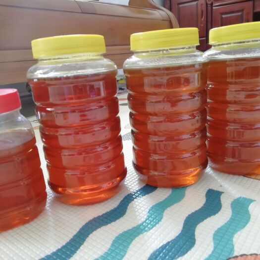 廉江市野蜂蜜  农家业余养的土蜂蜜中蜂蜜冬季百花蜜支持一件代发