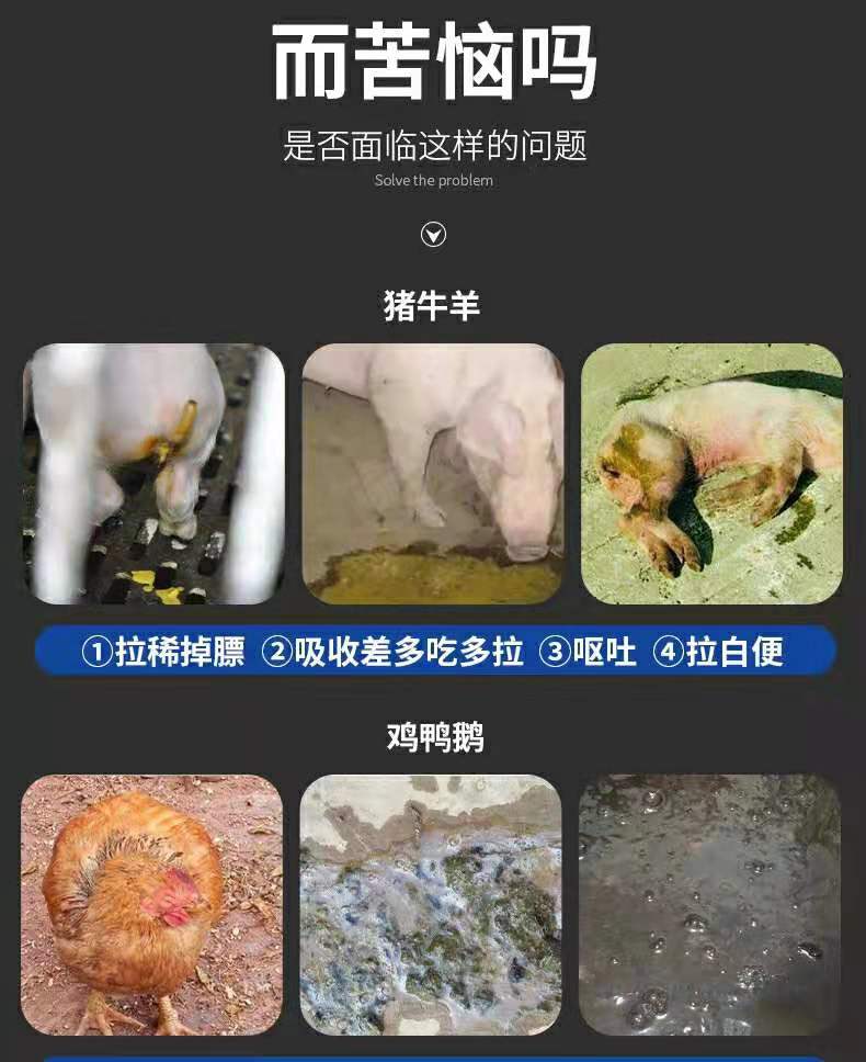 蛋白质饲料  『止痢金方』针对各种肠道问题便秘不食拉稀腹泻肠炎等