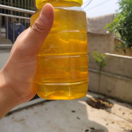 武汉槐花蜜 季节性售自产槐花、百花、荊条蜜。