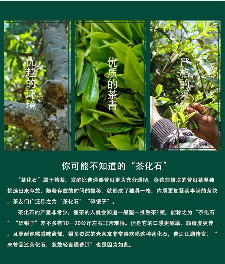  云南普洱茶碎银子茶化石熟普洱茶糯米香茶叶250g半斤罐装