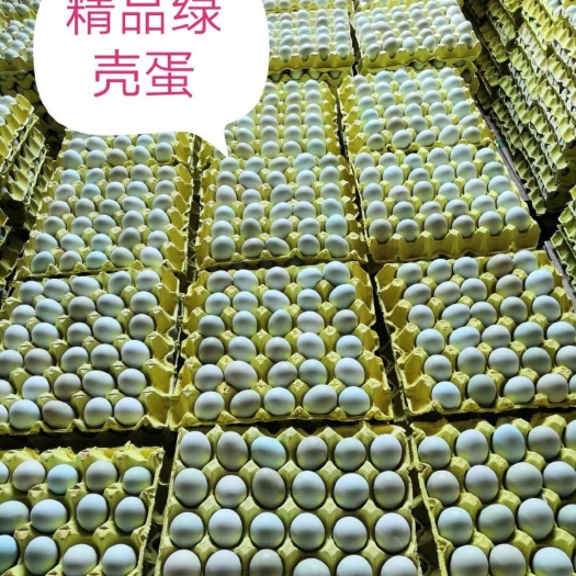 昆明绿壳蛋   绿壳散养鸡蛋