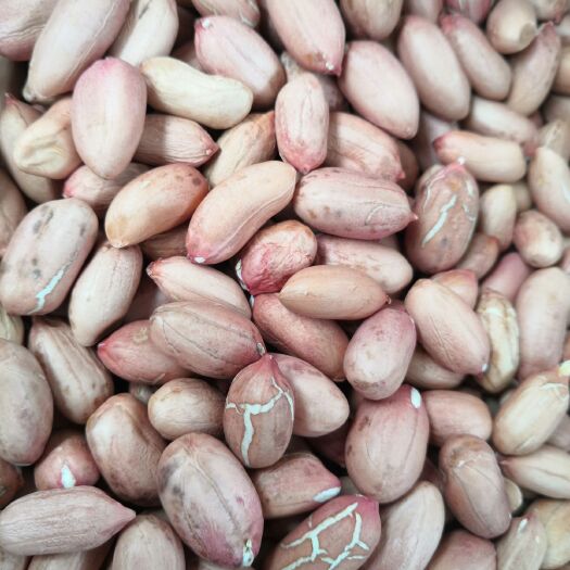 莱西市 纯手工剥壳精选花生种子米