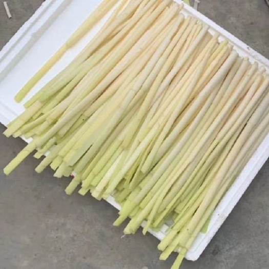 济南批发鲜蒲菜
