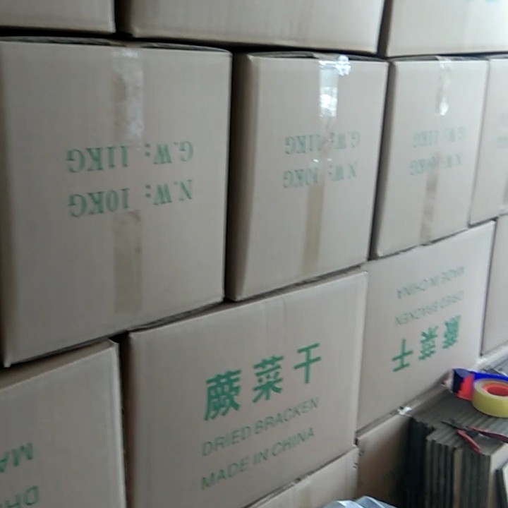 优质蕨菜 蕨菜干 出口A级 纯 天然野 生蕨菜干  无老