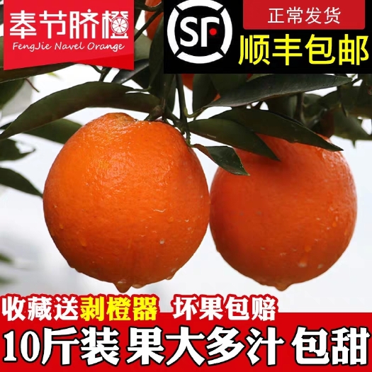 奉节顺丰包邮 正宗重庆奉节72-1脐橙现摘现发带绿叶 非赣南脐橙