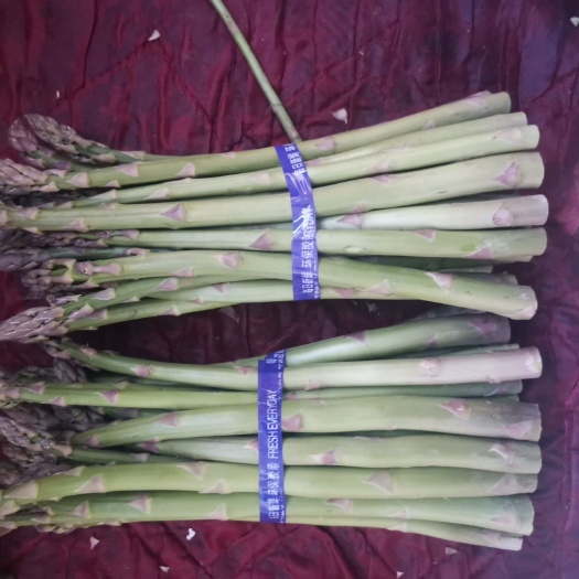 赵县 蔬菜之王芦笋大量供应