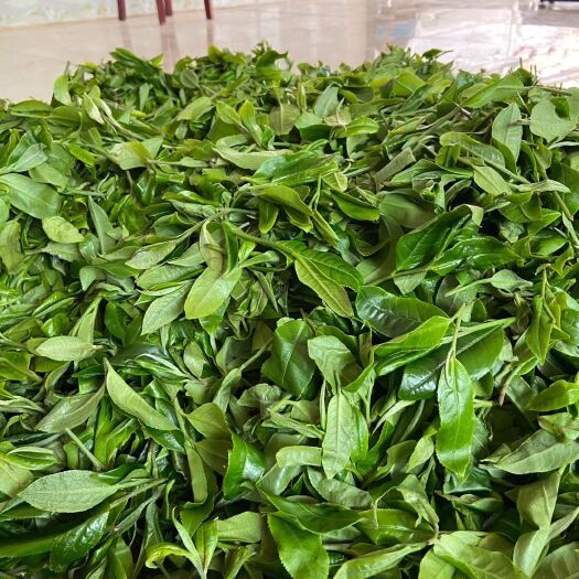 勐海县古树普洱茶 班盆古树茶