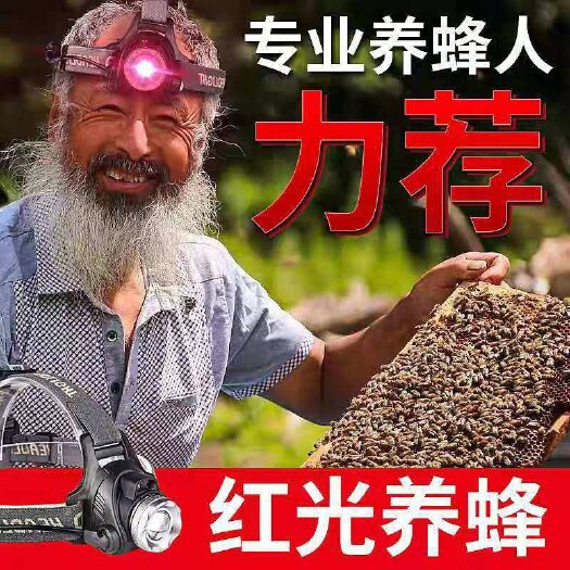 长葛市应急灯/手电筒 电筒 头灯养蜂专用红光灯养蜂工具包邮