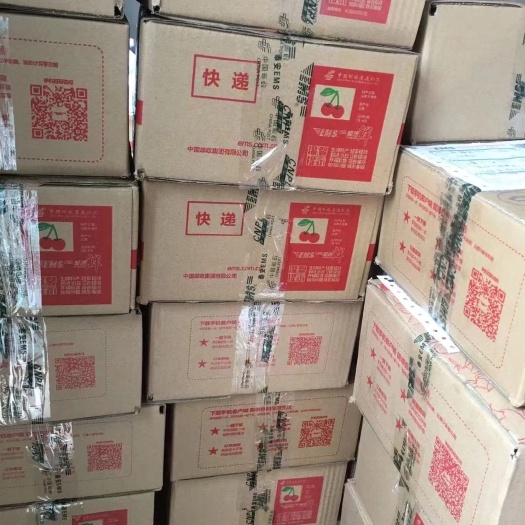 泰安泰山樱桃产地新鲜直供，一件代发，代办合作。