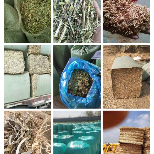 正阳县小麦秸秆，，玉米秸秆，玉米秸秆青储草
