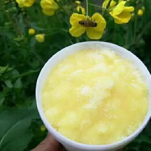 招远市槐花蜜 注册商标，专注做42波美度以上成熟封盖原蜜