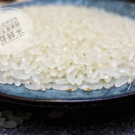 庆安县胚芽米 东北直供胚芽珍珠鲜米